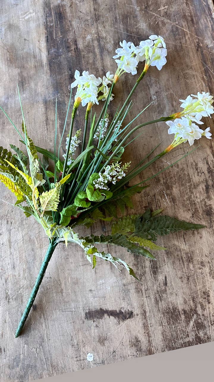 The Global Swap Shop - White Daffodil Bush