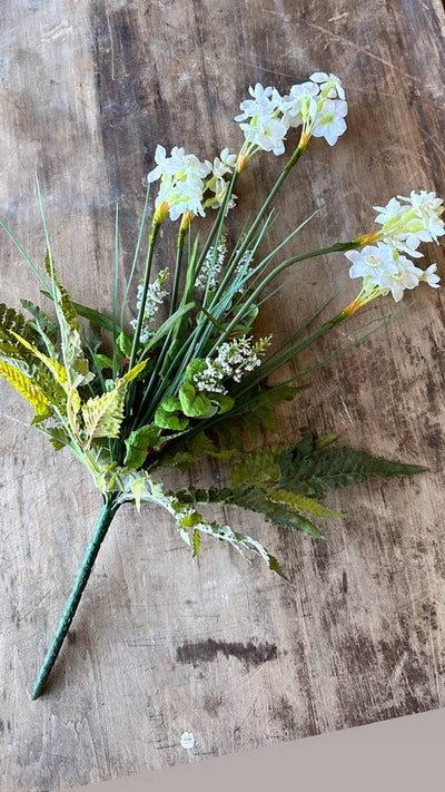 The Global Swap Shop - White Daffodil Bush