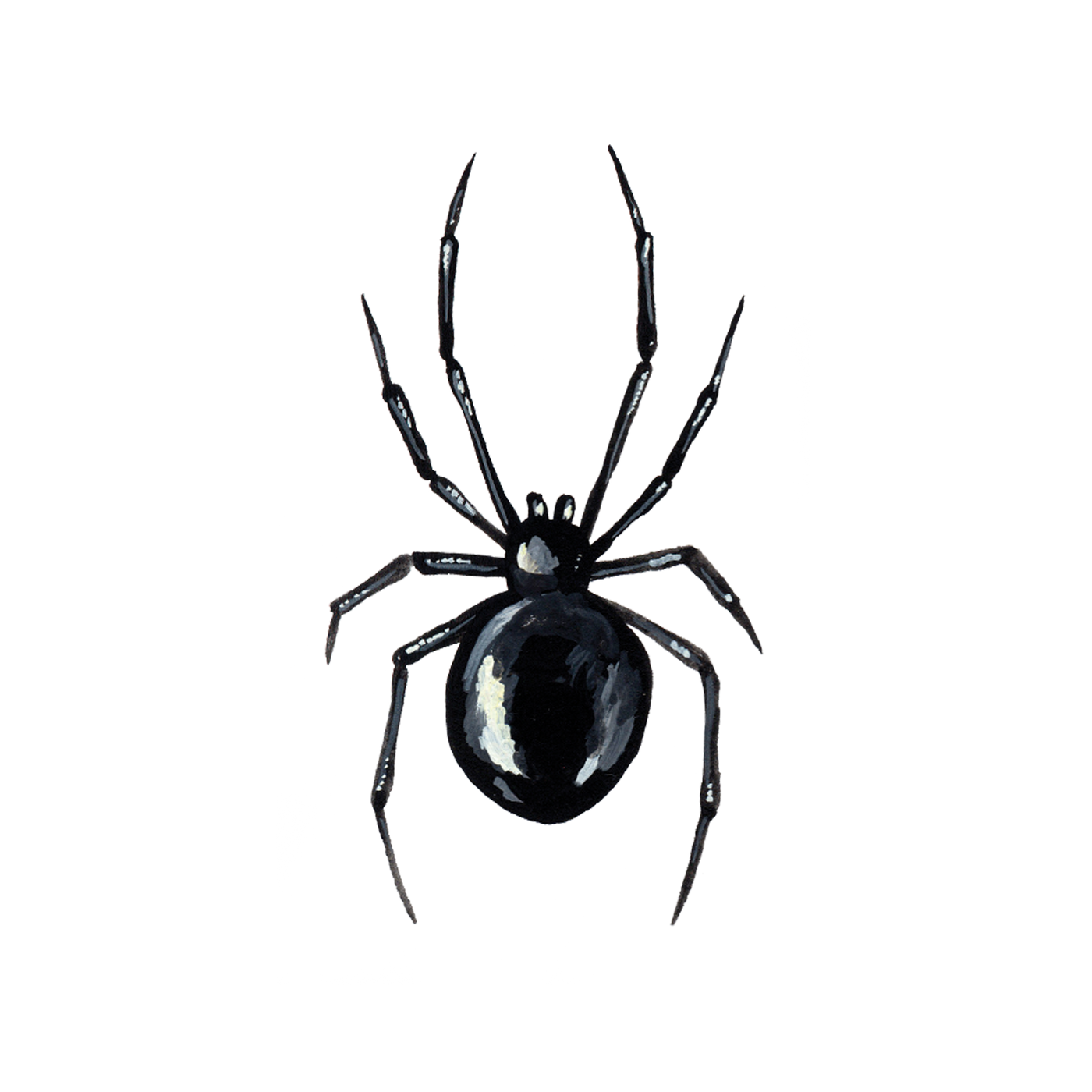 Tattly - Black Widow Tattoo Pair