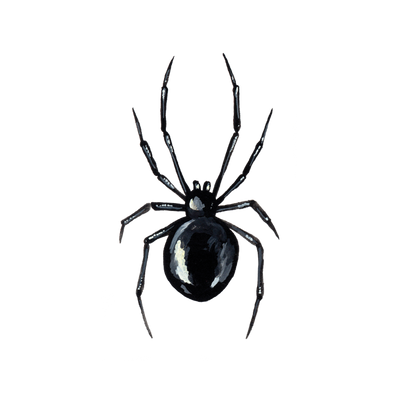 Tattly - Black Widow Tattoo Pair