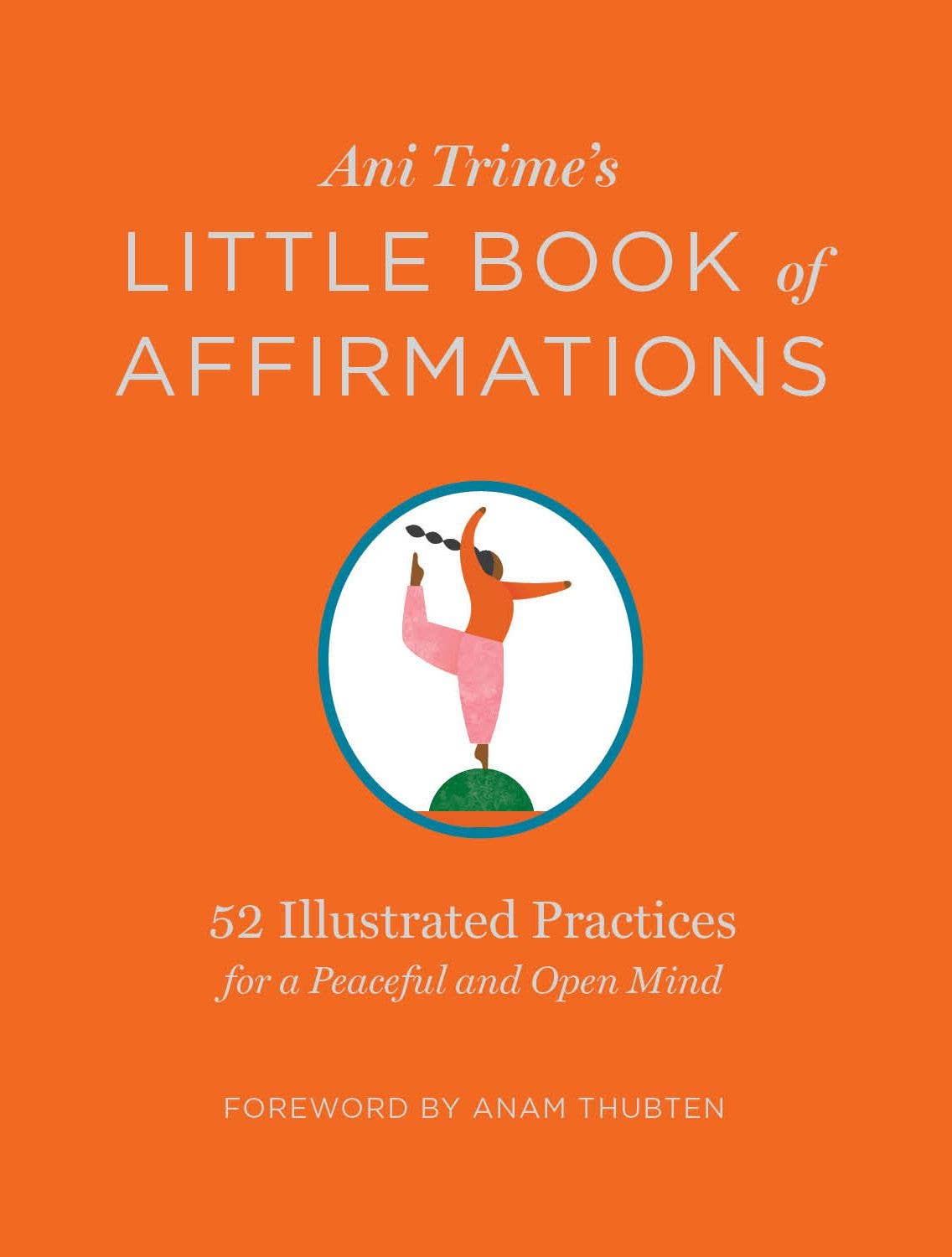 Ani Trime's Little Book of Affirmations-Hachette Book Group