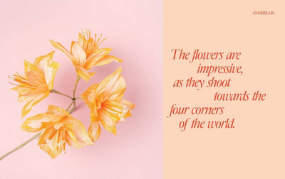 Chronicle Books - Paper Flowers