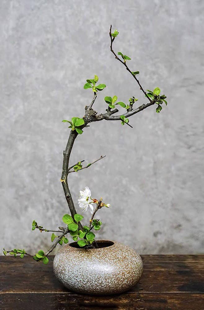 Gohobi Handmade Ikebana Vase, Japanese vase, Colourful set, – Cultural Interiors