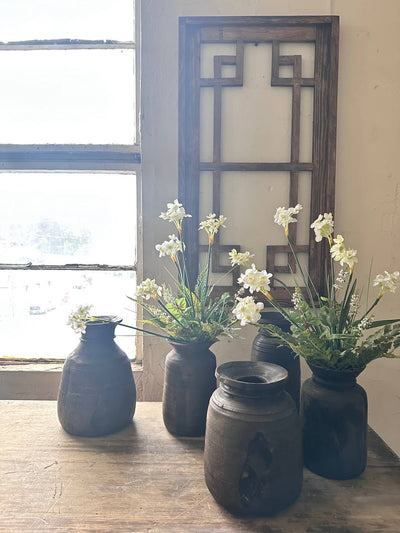 The Global Swap Shop - White Daffodil Bush
