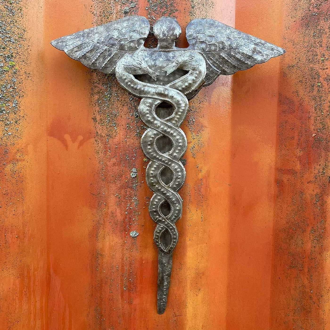 Haiti Fair Trade~ It's Cactus - Medical Staff Wall Plaque, Caduceus, Physician 12" x 16"