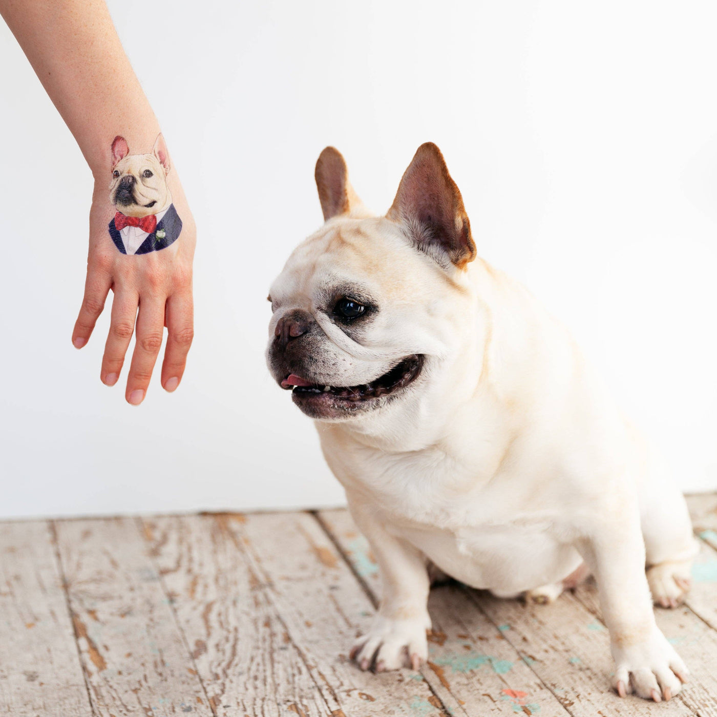 Tattly - French Bulldog Tattoo Pair