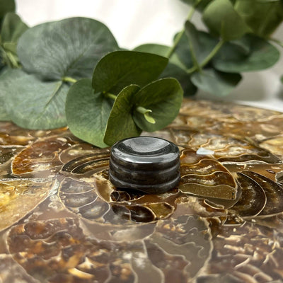 The Crystal Tabby - Hematite Sphere Holder