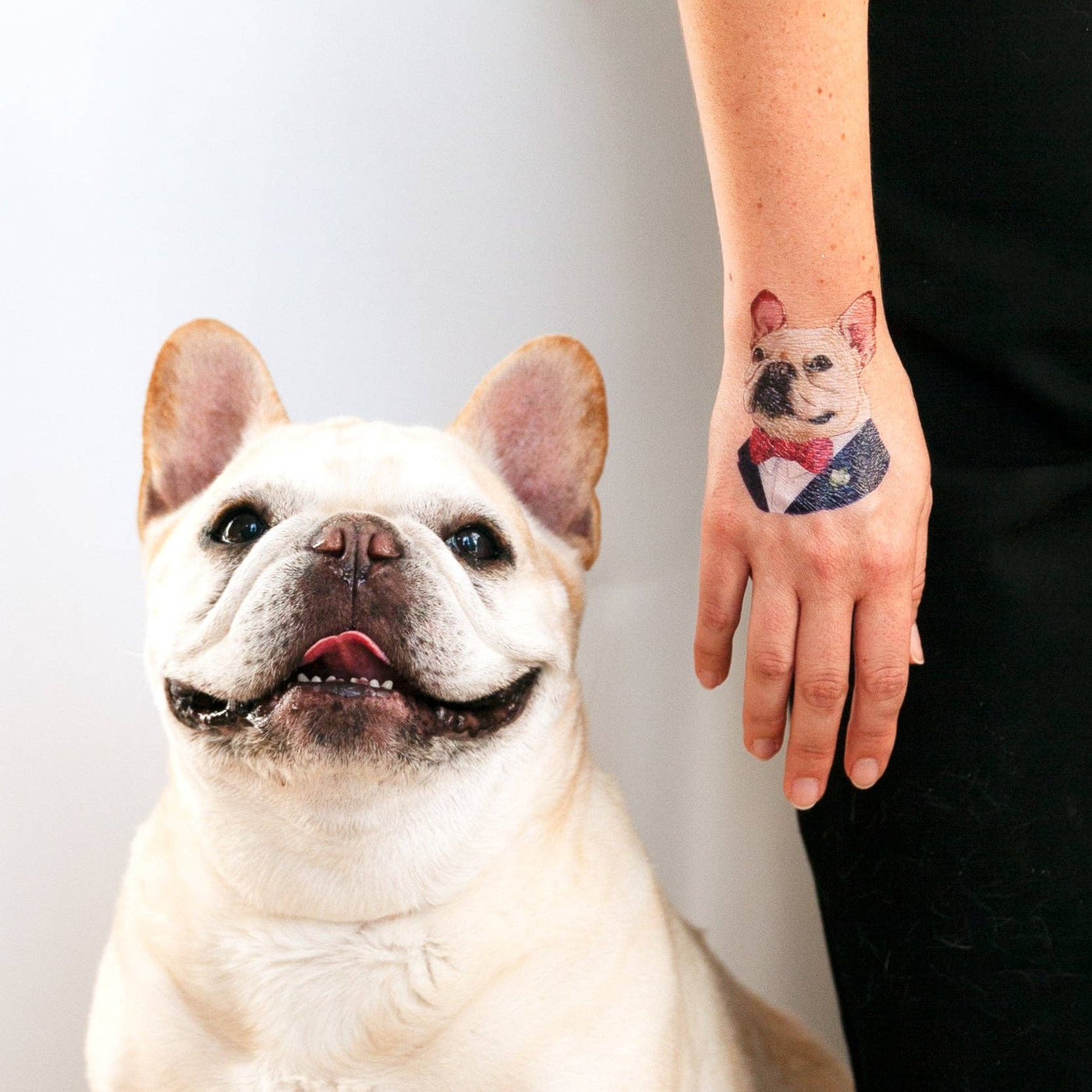 Tattly - French Bulldog Tattoo Pair