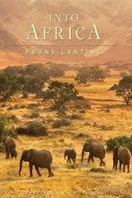 Into Africa