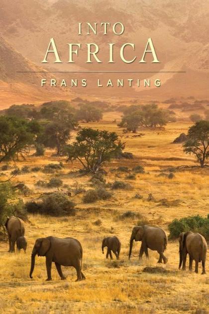 Into Africa