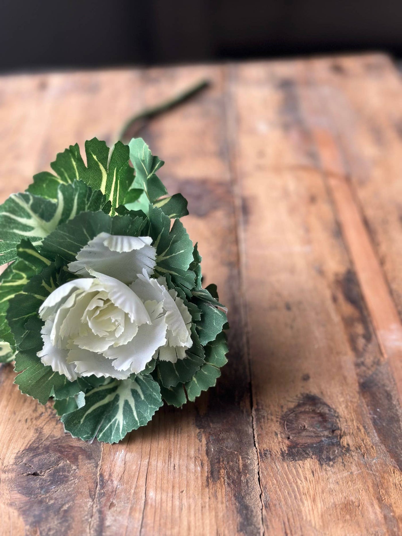 The Global Swap Shop - White Ornamental Cabbage Stems