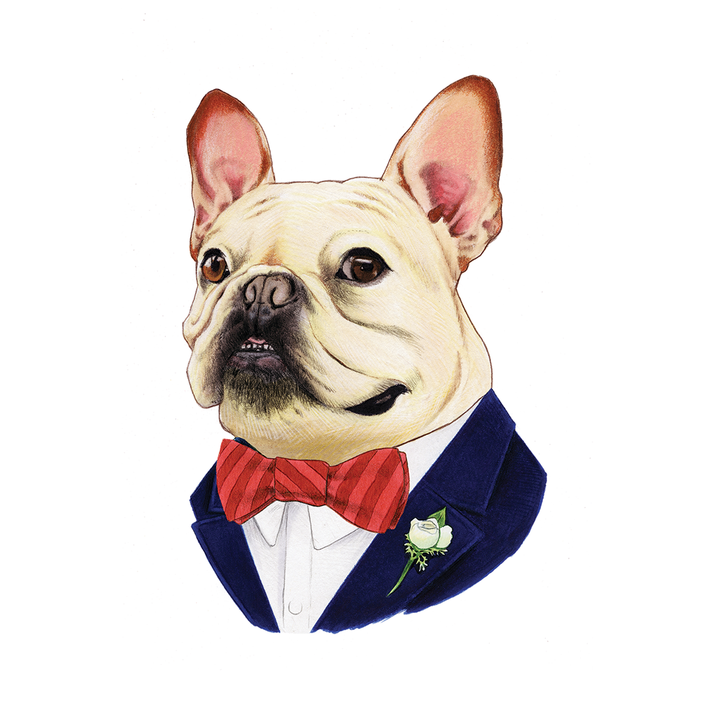 Tattly - French Bulldog Tattoo Pair