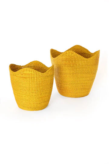 Yellow Elephant Grass Tulip Baskets