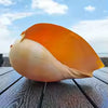 Melo Melo Yellow Lady Shell