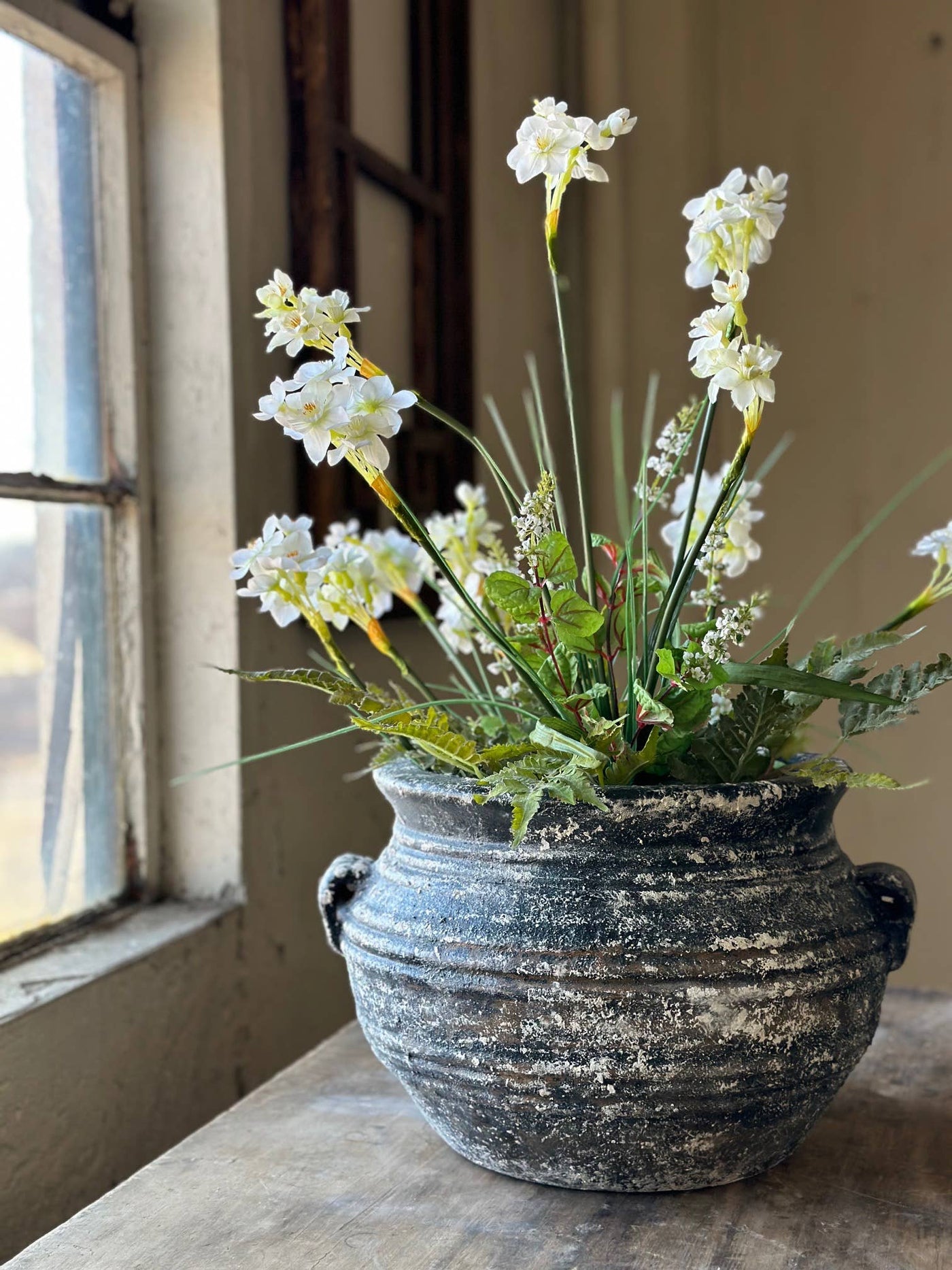 The Global Swap Shop - White Daffodil Bush