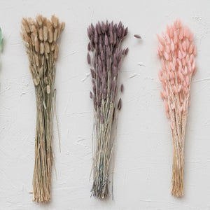 Dried Natural Bunny Tail Bunch, Lavender Color - Creative Co-Op