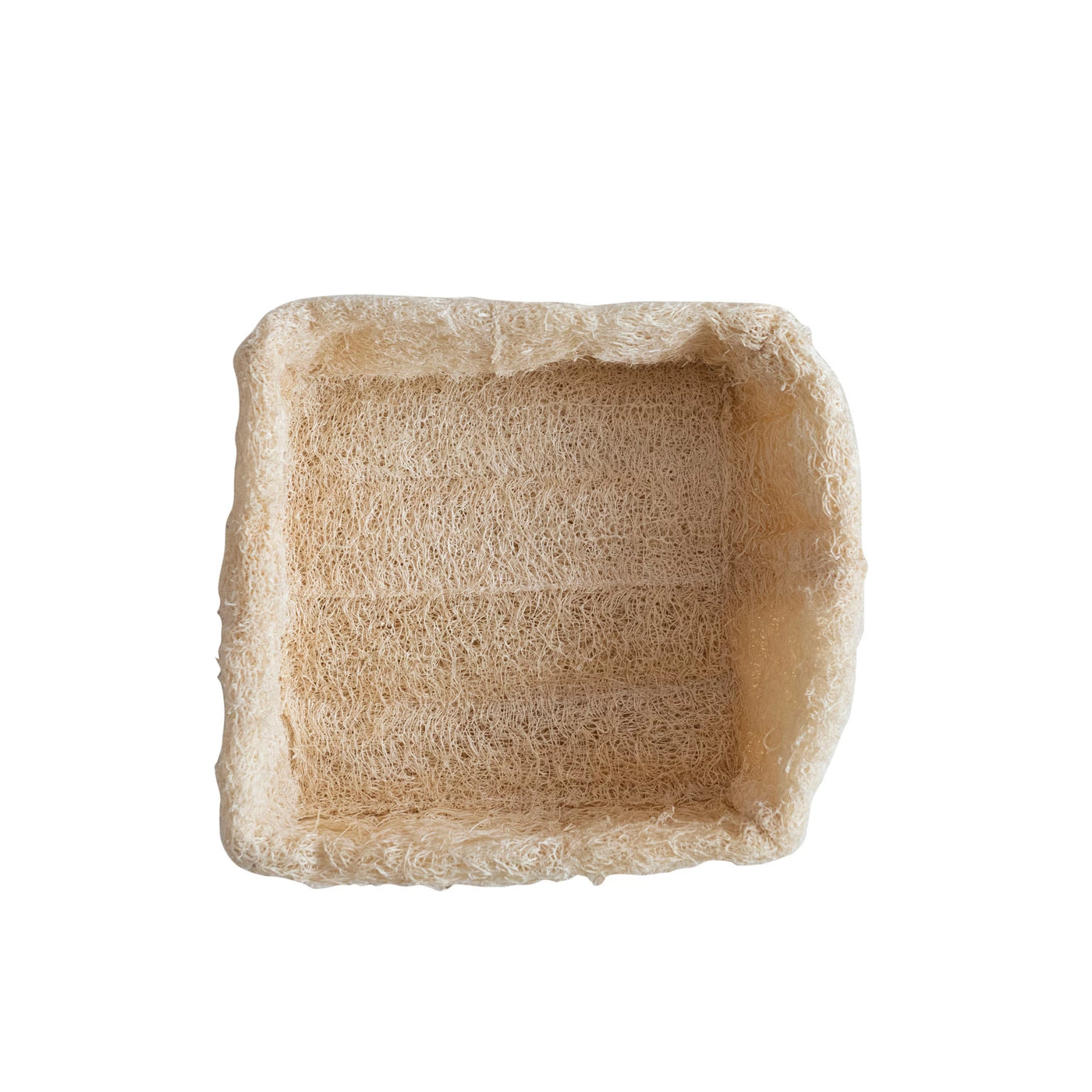 Natural Loofah Container