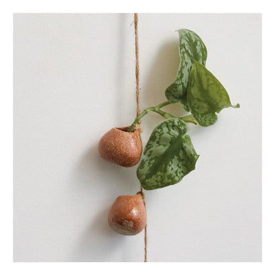Stoneware Hanging Vases w/ Jute Rope Hanger (Each One Will Vary)