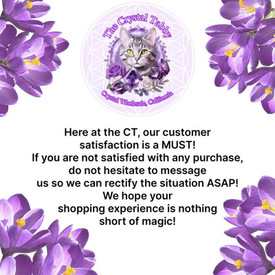 Orthoceras Heart Bowl-The Crystal Tabby