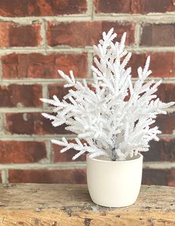 The Global Swap Shop - White Shimmer Tree in Ceramic Pot