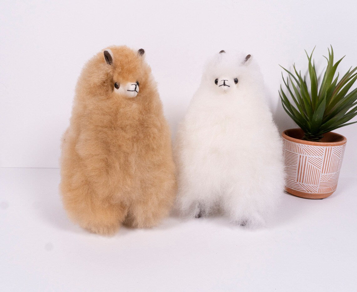 Furry Alpacas