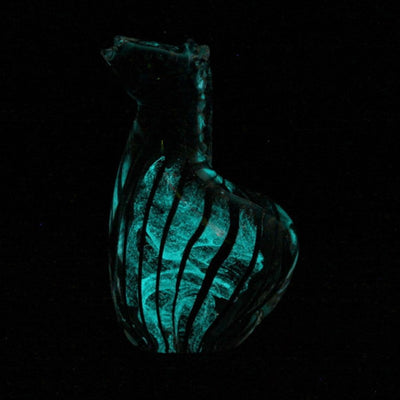 Zebra - Glow