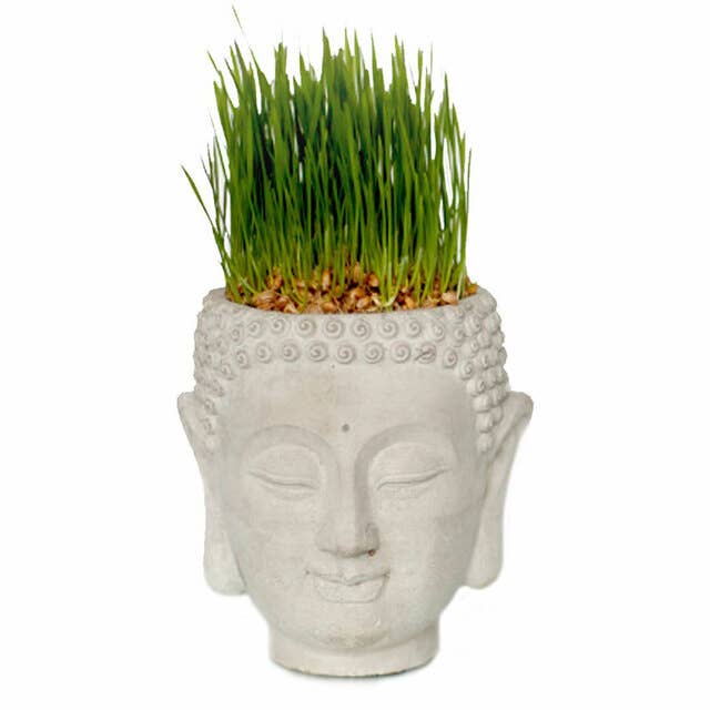 Vagabond Vintage - Cement Buddha Head Planter