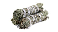Sage-Varietal
