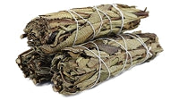 Sage-Varietal
