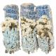 White Sage with Blue Flowers