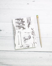 Notebook: Case Study-Anatomy: Mini Hardcover