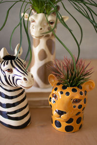 Ceramic Safari Animal Succulent Planters
