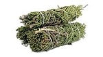 Sage-Varietal
