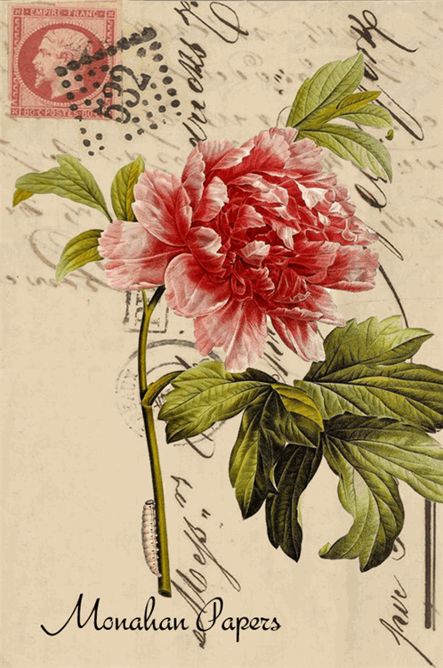 Monahan Papers -Gift Tags