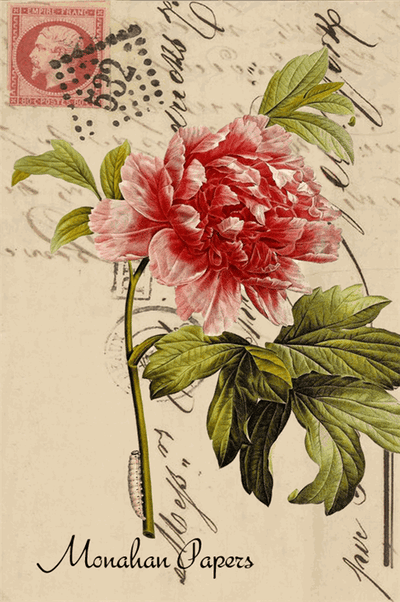 Monahan Papers -Gift Tags
