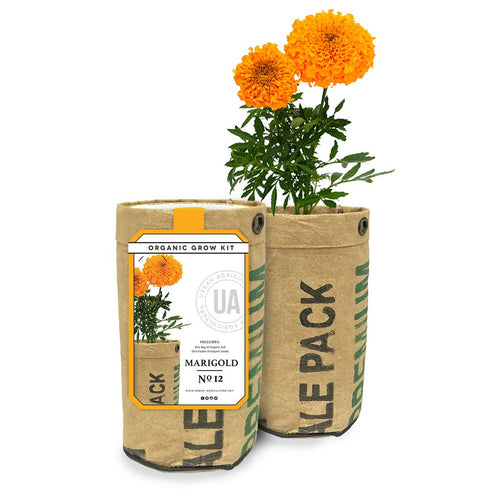 Marigold Organic Grow Kit