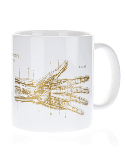 Anatomical Hand Mega Mug