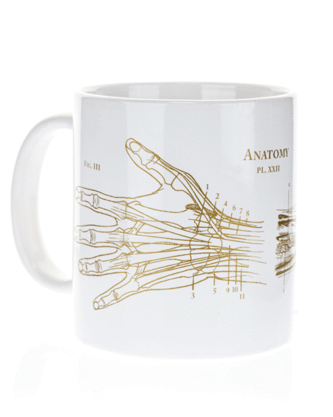Anatomical Hand Mega Mug