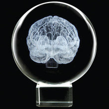 Crystal Paperweight - Dynasty Gallery