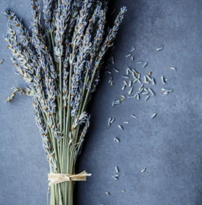 Dried Lavender Bundle- Plantita & Co.