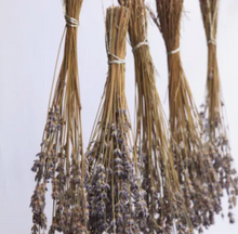 Dried Lavender Bundle- Plantita & Co.