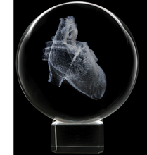 Crystal Paperweight - Dynasty Gallery