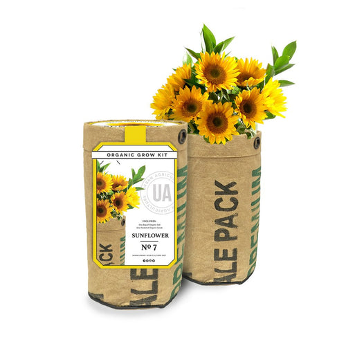 Sunflower Organic Grow Kit