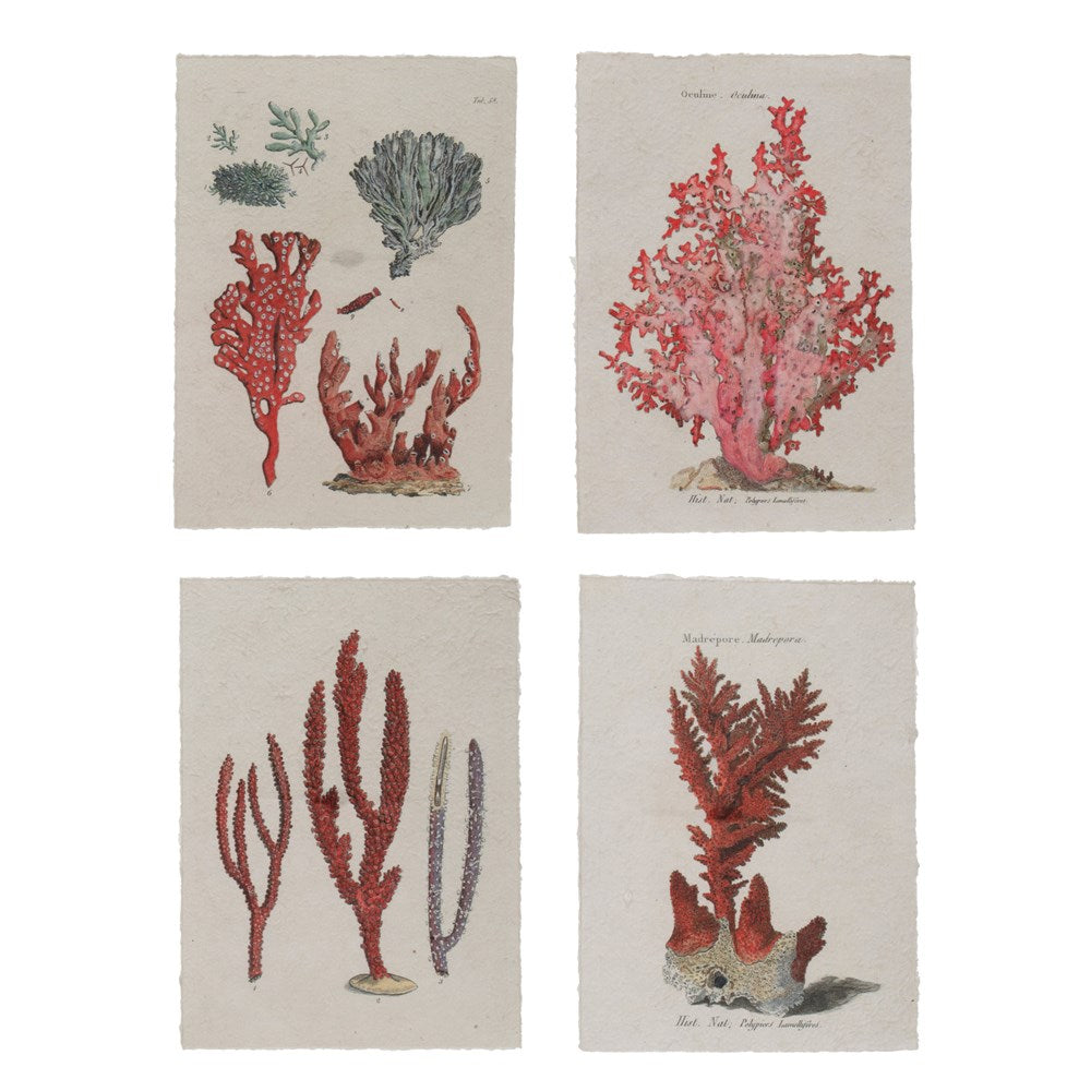Coral Paper Print - Creative Co-Op
