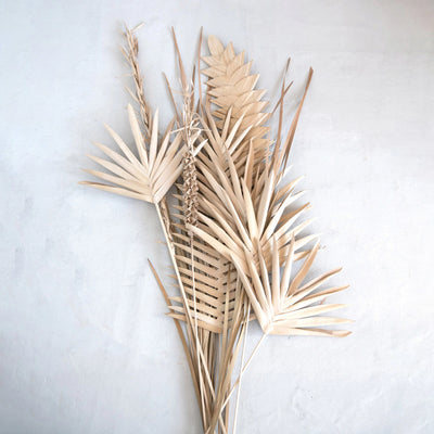 Dried Natural Buri Palm Pick, Brushed Gold 32" H