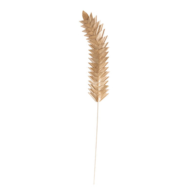 Dried Natural Buri Palm Pick, Brushed Gold 32" H