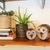 Succulent Basket Planter